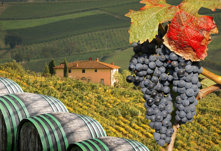 Фото Gastronomic Tour from Rome to Tuscany. Wine and cheese tasting in Chianti.